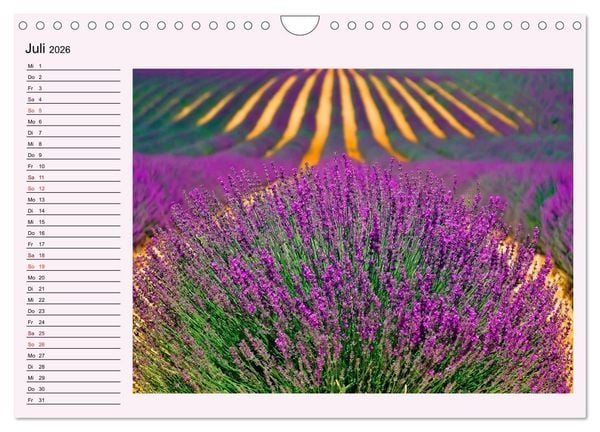Produktbild: Lila - die mystische Farbe (Wandkalender 2026 DIN A4 quer), CALVENDO Monatskalender