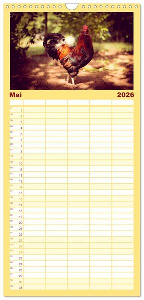 Produktbild: Familienplaner 2026 - H&uuml;hner in meinem Garten mit 5 Spalten (Wandkalender, 21 x 45 cm) CALVENDO