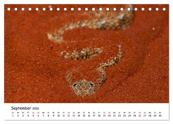 Produktbild: Mythos Schlangen (Tischkalender 2026 DIN A5 quer), CALVENDO Monatskalender