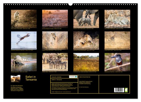 Produktbild: Safari in Tansania (Wandkalender 2026 DIN A2 quer), CALVENDO Monatskalender