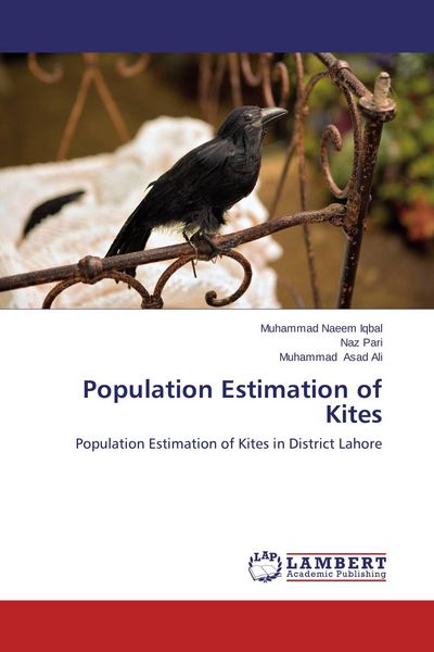 Produktbild: Population Estimation of Kites