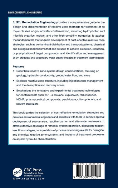 Produktbild: In Situ Remediation Engineering