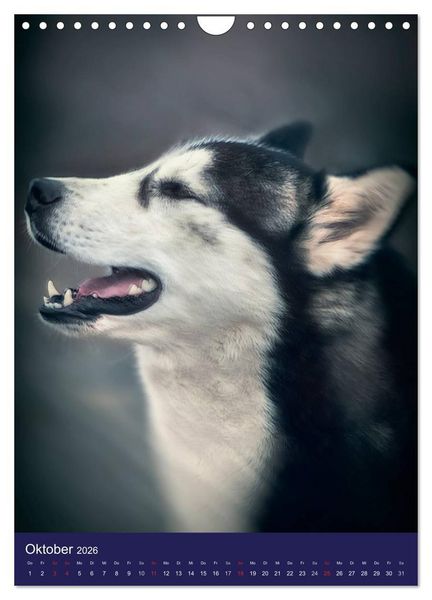 Produktbild: Huskies - Artwork (Wandkalender 2026 DIN A4 hoch), CALVENDO Monatskalender