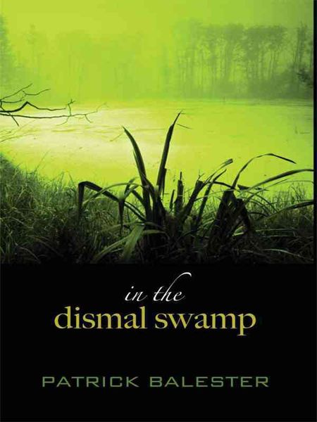 Produktbild: In the Dismal Swamp