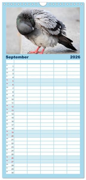 Produktbild: Familienplaner 2026 - Geliebte Tauben mit 5 Spalten (Wandkalender, 21 x 45 cm) CALVENDO