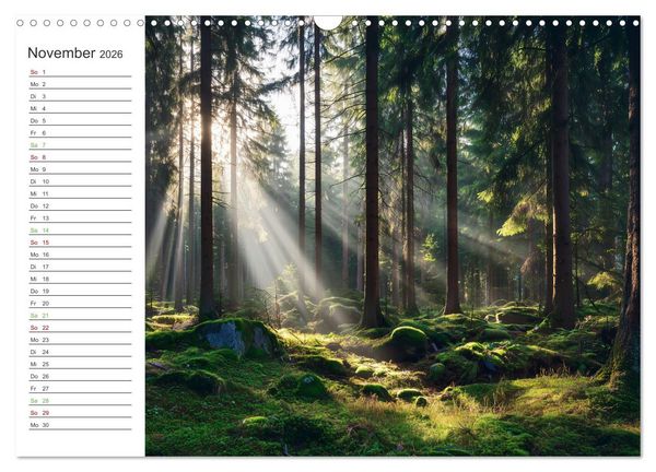 Produktbild: Gr&uuml;ne Zukunft (Wandkalender 2026 DIN A3 quer), CALVENDO Monatskalender
