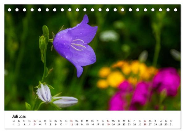 Produktbild: Klosterinsel Reichenau - UNESCO-Welterbe am Bodensee (Tischkalender 2026 DIN A5 quer), CALVENDO Monatskalender