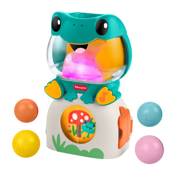 Produktbild: Fisher-Price Seek & Hide Frog.JLB96