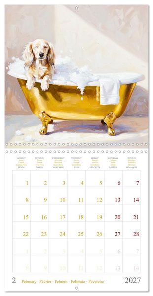 Produktbild: Dachshund Happiness (Wall Calendar 2027 12 &times; 12 Inch) CALVENDO 12 Month Wall Calendar