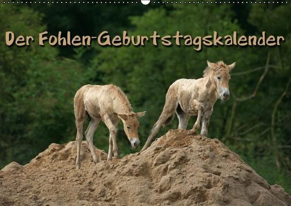 Produktbild: Der Fohlen-Geburtstagskalender (Wandkalender immerw&auml;hrend DIN A2 quer)