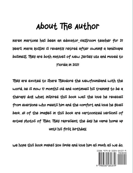 Produktbild: The First Year Adventures Of Theodore The Newfoundland And His White Socks