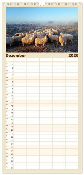 Produktbild: Familienplaner 2026 - Mein Ostfriesland mit 5 Spalten (Wandkalender, 21 x 45 cm) CALVENDO