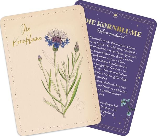 Produktbild: Die geheimnisvolle Sprache der Blumen &ndash; 50 Orakelkarten f&uuml;r das ganze Jahr
