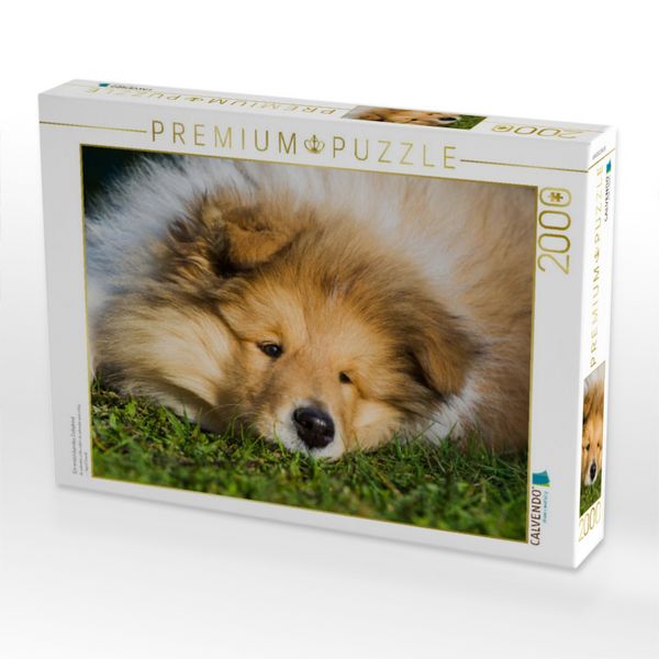 Produktbild: CALVENDO Puzzle Ein entz&uuml;ckendes Colliekind | 2000 Teile Lege-Gr&ouml;&szlig;e 90x67cm Foto-Puzzle f&uuml;r gl&uuml;ckliche Stunden