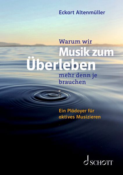 Produktbild: Warum wir Musik zum &Uuml;berleben mehr denn je brauchen