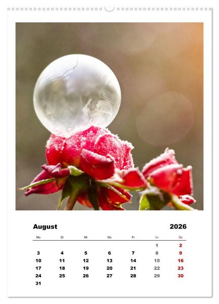 Produktbild: Frostige Seifenblasen (hochwertiger Premium Wandkalender 2026 DIN A2 hoch), Kunstdruck in Hochglanz