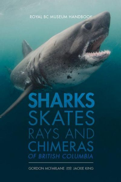 Produktbild: Sharks, Skates, Rays and Chimeras of British Columbia