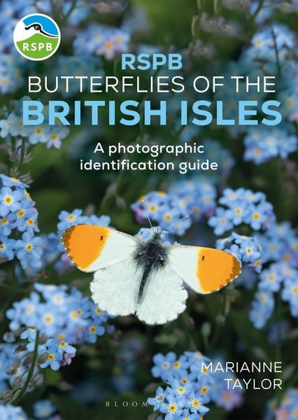 Produktbild: RSPB Butterflies of the British Isles