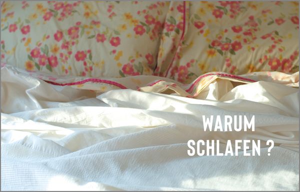Produktbild: KUNTH Bildband Atlas des Schlafens