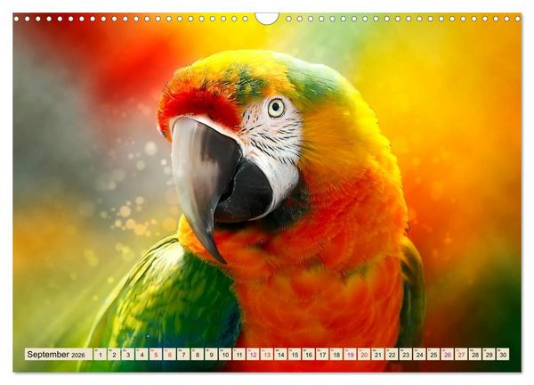 Produktbild: Mein bunter Papagei (Wandkalender 2026 DIN A3 quer), CALVENDO Monatskalender