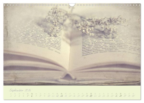 Produktbild: Shabby ist Chic (Wandkalender 2026 DIN A3 quer), CALVENDO Monatskalender