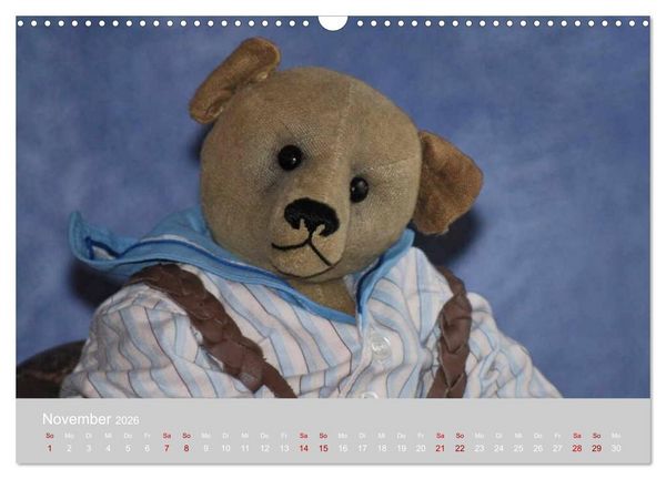 Produktbild: Robin der B&auml;r (Wandkalender 2026 DIN A3 quer), CALVENDO Monatskalender