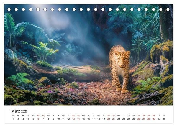 Produktbild: Gefleckte Schatten - Im Bann der Leoparden (Tischkalender 2027 DIN A5 quer), CALVENDO Monatskalender