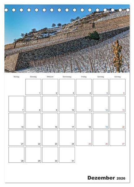 Produktbild: Rheingau Terminplaner (Tischkalender 2026 DIN A5 hoch), CALVENDO Monatskalender