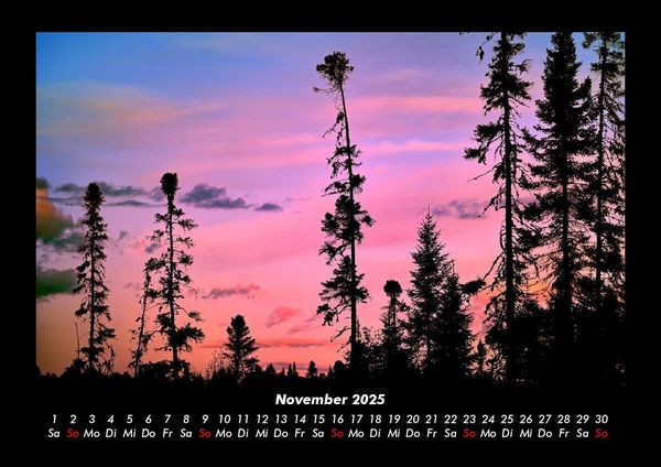 Produktbild: Blick in die Natur 2025 Fotokalender DIN A3