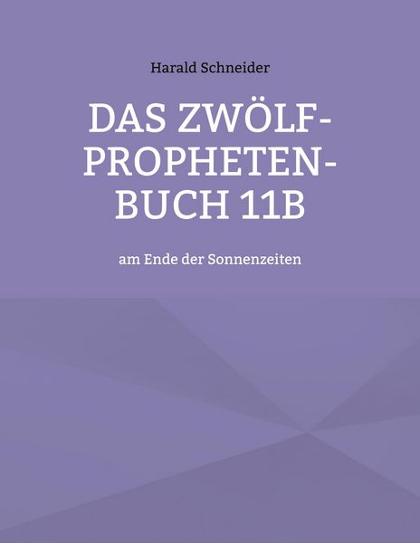 Produktbild: Das Zw&ouml;lf-Propheten-Buch 11b