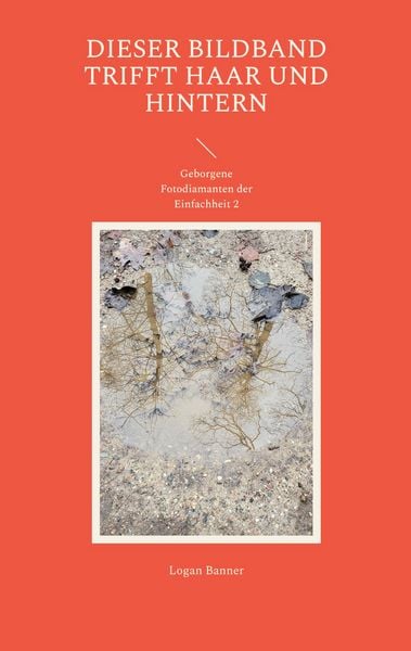 Dieser Bildband trifft Haar und Hintern, Taschenbuch von Logan Banner, BoD – Books on Demand, 9783746078793