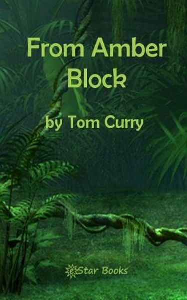Produktbild: From Amber Block