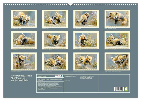 Produktbild: Rote Pandas. Kleine Abenteurer im sanften Waldlicht (Wandkalender 2027 DIN A2 quer), CALVENDO Monatskalender
