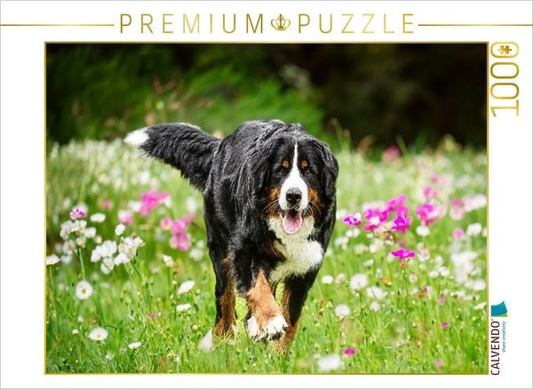 CALVENDO Puzzle Blütenzauber | 1000 Teile Lege-Größe 64x48cm Foto-Puzzle für glückliche Stunden