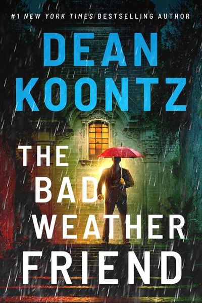 Produktbild: The Bad Weather Friend