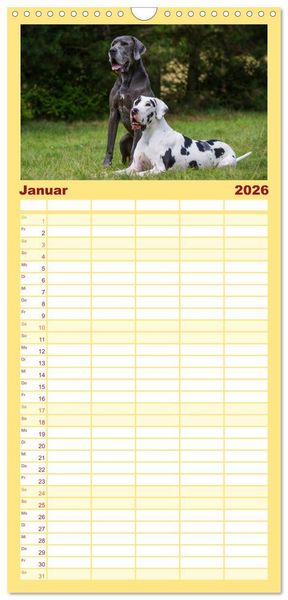 Produktbild: Familienplaner 2026 - Deutsche Dogge mit 5 Spalten (Wandkalender, 21 x 45 cm) CALVENDO