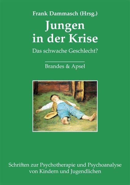 Produktbild: Jungen in der Krise