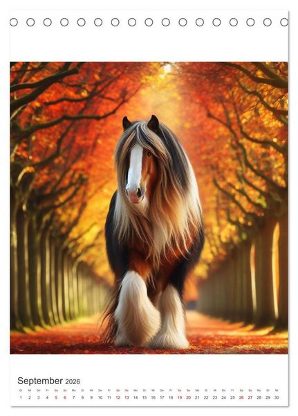 Produktbild: Gypsy Vanner Tinker - die majest&auml;tische Sch&ouml;nheit der Tinker-Pferde (Tischkalender 2026 DIN A5 hoch), CALVENDO Monatskalender