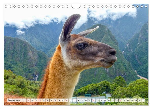 Produktbild: Faszination Peru &ndash; Natur und Kultur (Wandkalender 2026 DIN A4 quer), CALVENDO Monatskalender