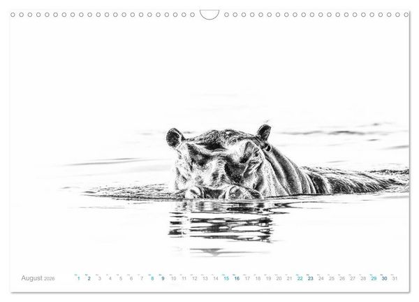 Produktbild: AFRIKA - Schwarz-weiss Fotografien im modernen "High Key" Look (Wandkalender 2026 DIN A3 quer), CALVENDO Monatskalender