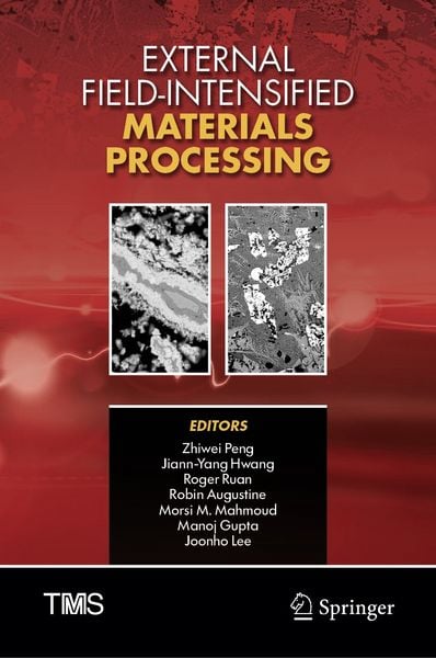 Produktbild: External Field-Intensified Materials Processing
