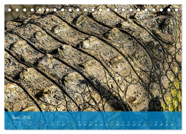 Produktbild: Natur abstrakt Farben und Strukturen (Tischkalender 2026 DIN A5 quer), CALVENDO Monatskalender