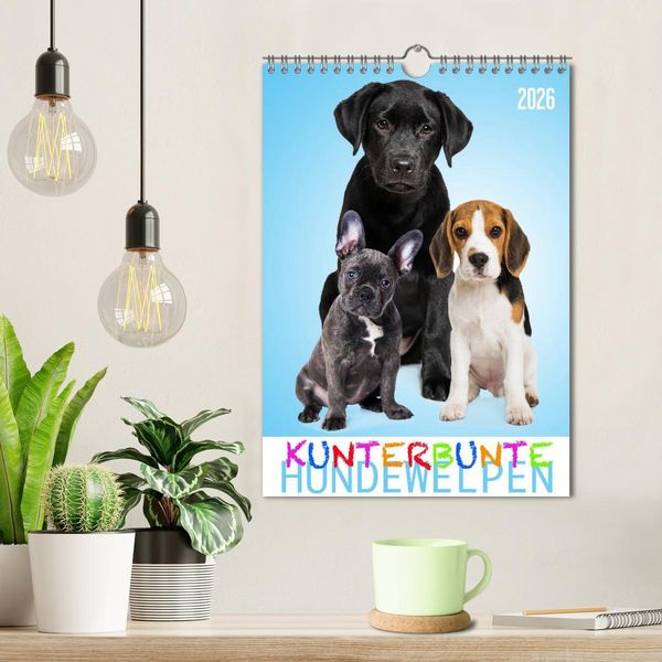 Produktbild: Kunterbunte Hundewelpen (Wandkalender 2026 DIN A4 hoch), CALVENDO Monatskalender
