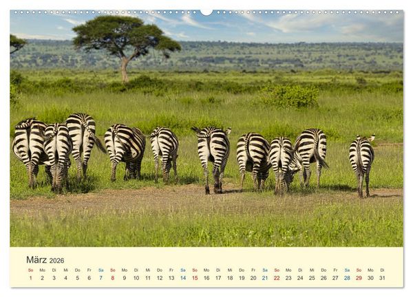 Produktbild: Safari in Kenia (Wandkalender 2026 DIN A2 quer), CALVENDO Monatskalender