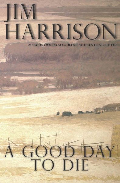 Produktbild: A Good Day to Die