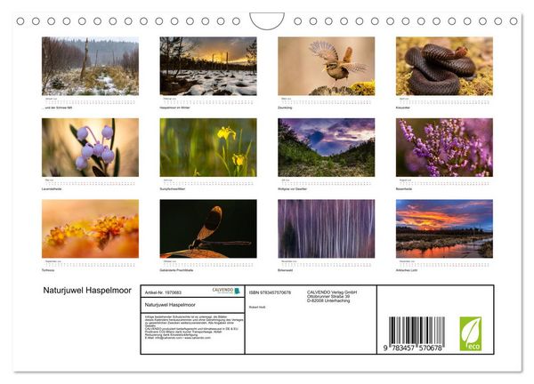 Produktbild: Naturjuwel Haspelmoor (Wandkalender 2026 DIN A4 quer), CALVENDO Monatskalender