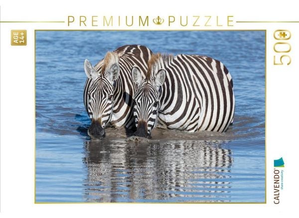 CALVENDO Puzzle Trinkende Zebras | 500 Teile Lege-Größe 48 × 36 cm Foto-Puzzle für Erwachsene