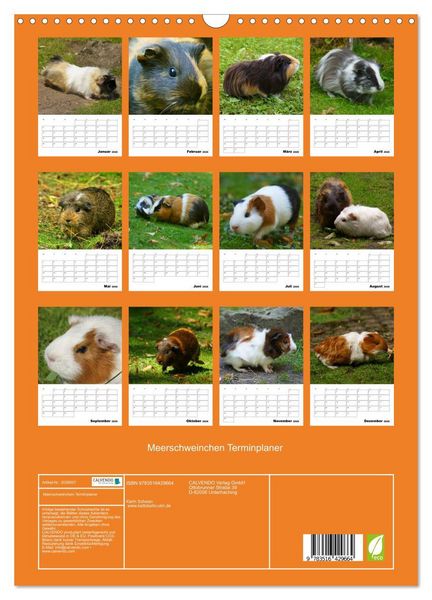 Produktbild: Meerschweinchen Terminplaner (Wandkalender 2026 DIN A3 hoch), CALVENDO Monatskalender