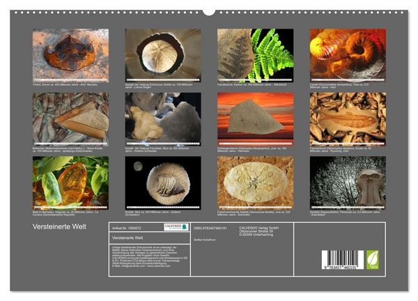 Produktbild: Versteinerte Welt (hochwertiger Premium Wandkalender 2026 DIN A2 quer), Kunstdruck in Hochglanz