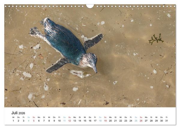 Produktbild: Australiens wunderbare Tiere (Wandkalender 2026 DIN A3 quer), CALVENDO Monatskalender